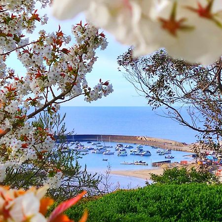 Seabreeze Apartman Lyme Regis Kültér fotó