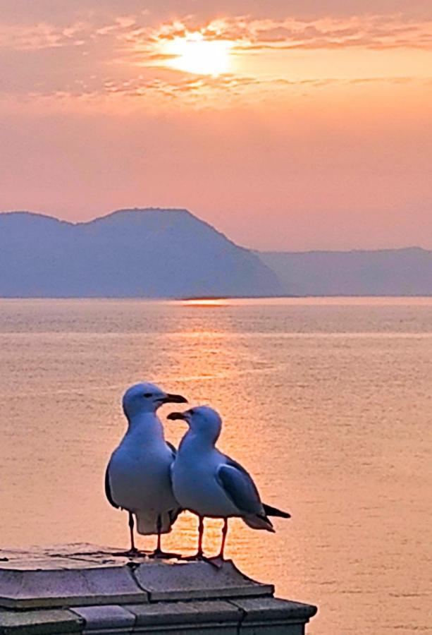 Seabreeze Apartman Lyme Regis Kültér fotó