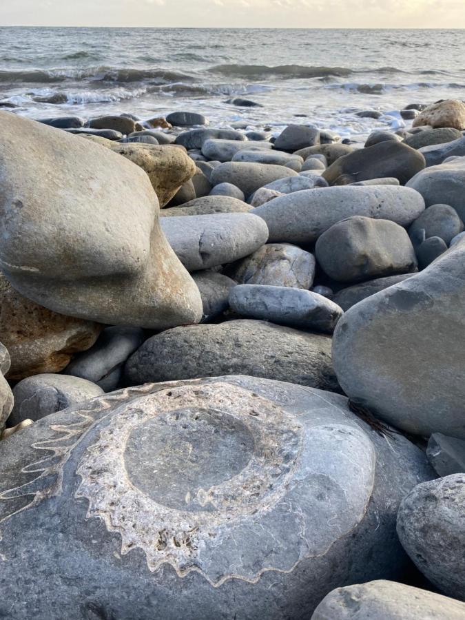 Seabreeze Apartman Lyme Regis Kültér fotó